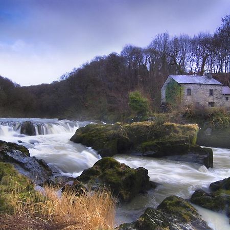 Garden Cottage Newcastle Emlyn Buitenkant foto
